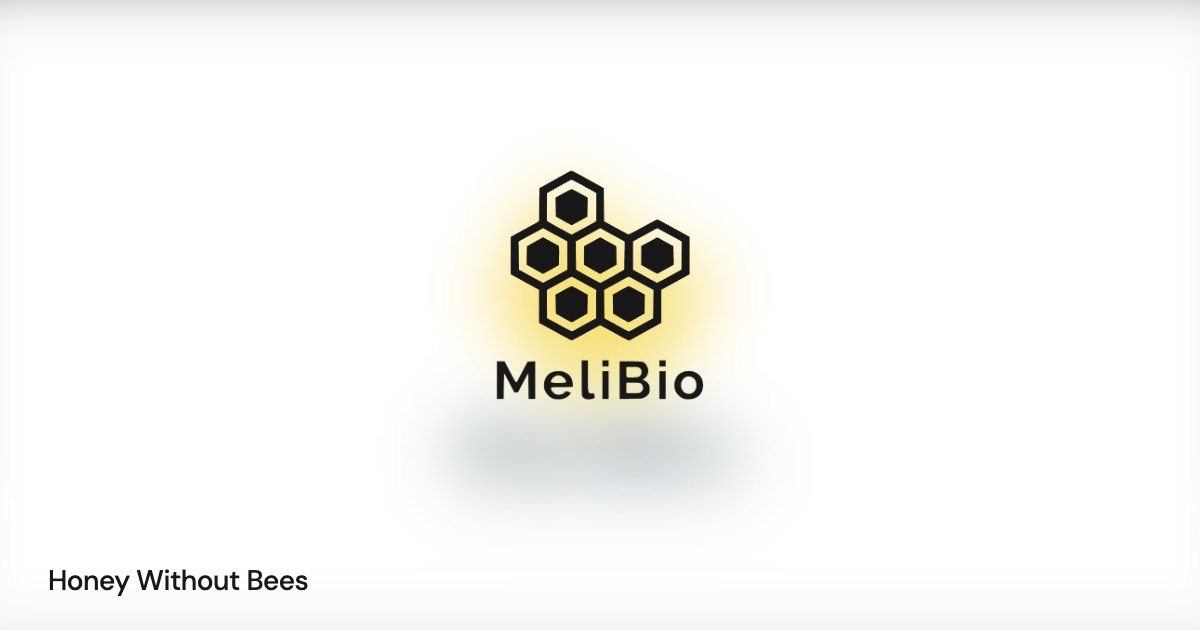 MeliBio × Eleven Madison Park — Honey Without Bees: project imagery with a transparent client mark overlaid directly on the image and a small project title.